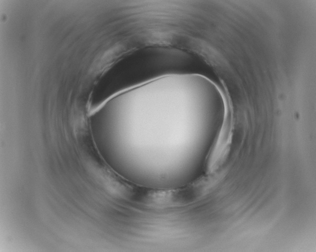 X0000070830084200607142351