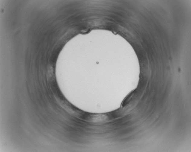 X0000070830087200607142351