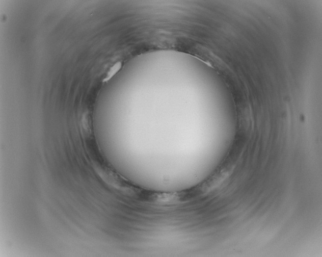 X0000070830088200607142351