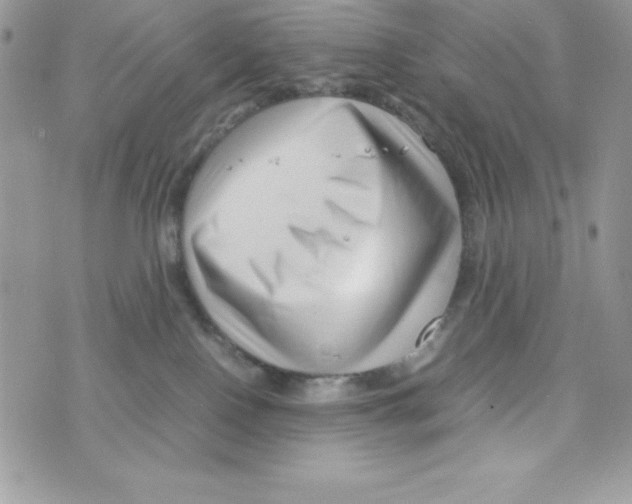 X0000070830090200607142352