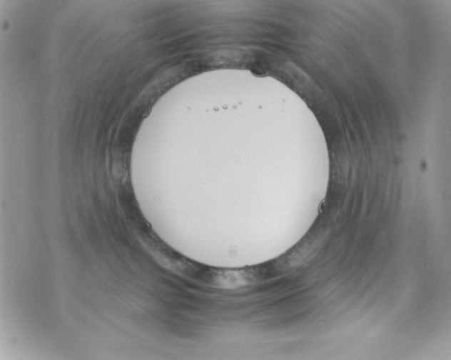 X0000070830091200607142352