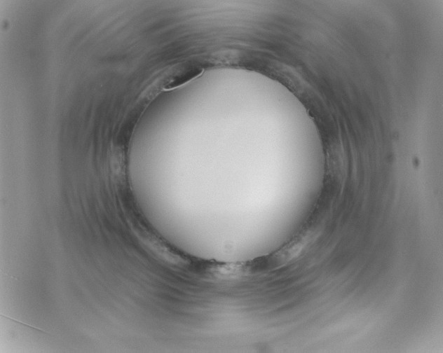 X0000070830092200607142352