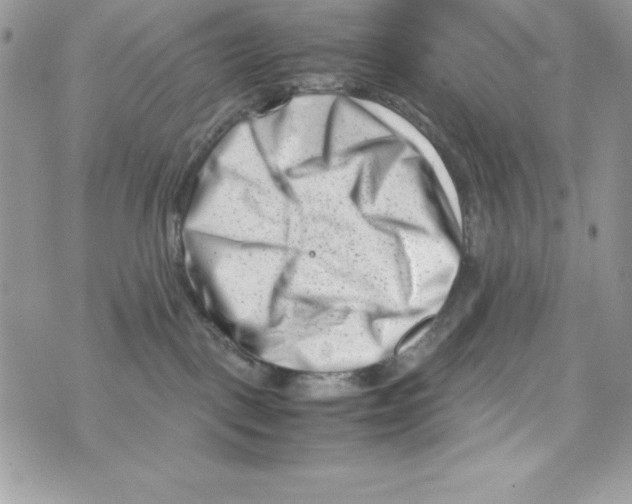 X0000070830093200607142352