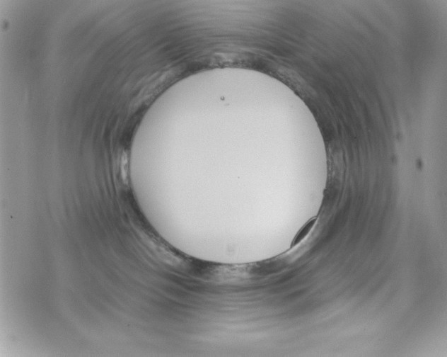 X0000070830094200607142352