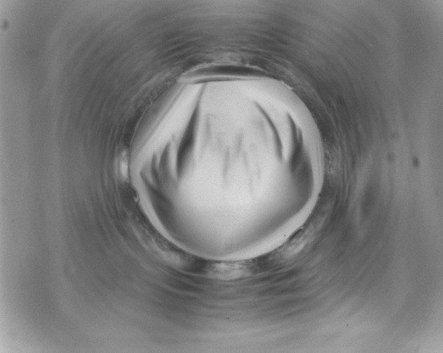 X0000070830095200607142352