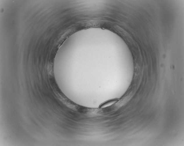 X0000070830096200607142352