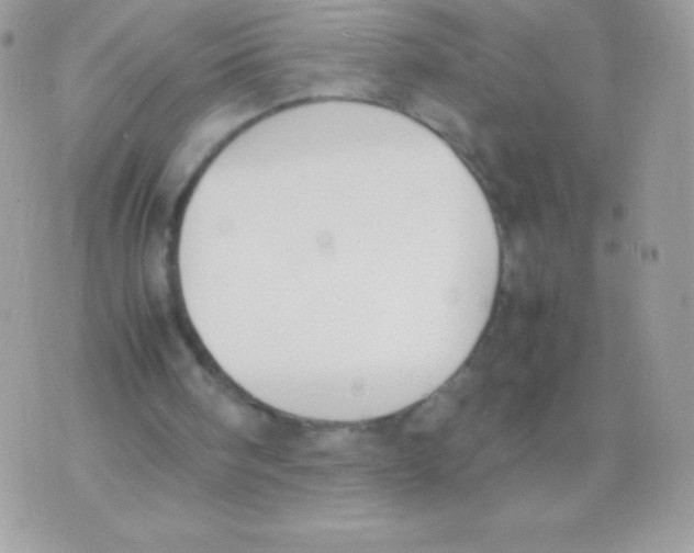 X0000070830098200607142351