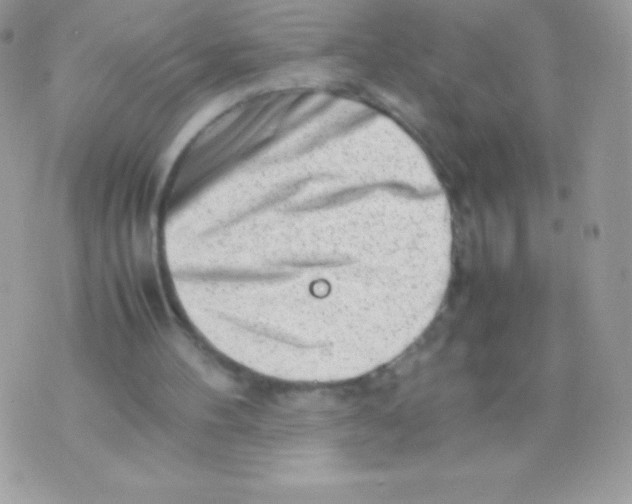 X0000070830100200607142351