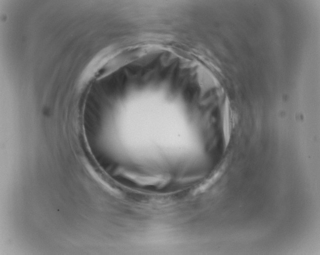 X0000070830101200607142351