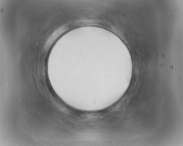 X0000070830103200607142351