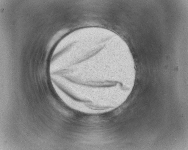 X0000070830104200607142351