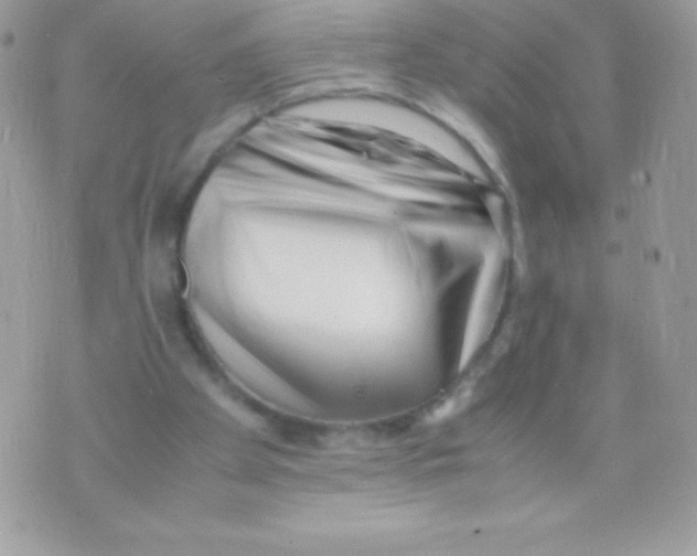 X0000070830105200607142351