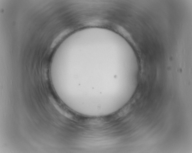 X0000070830106200607142351