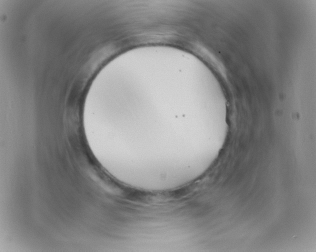 X0000070830107200607142351