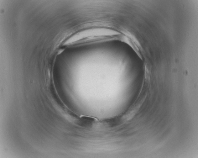 X0000070830109200607142351