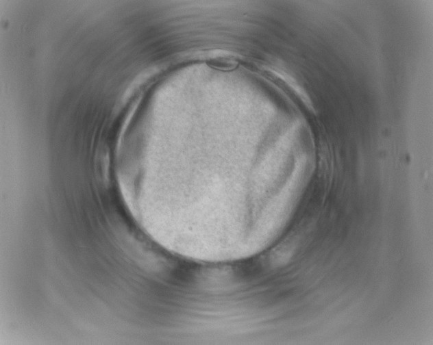 X0000070830110200607142351