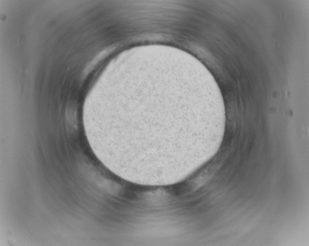 X0000070830112200607142351