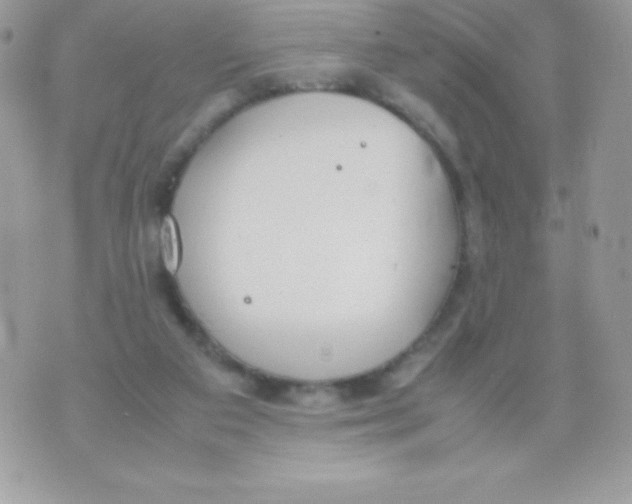 X0000070830113200607142351