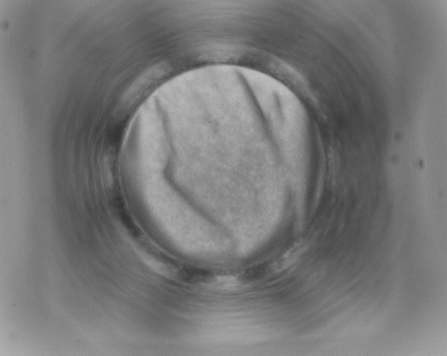 X0000070830114200607142351