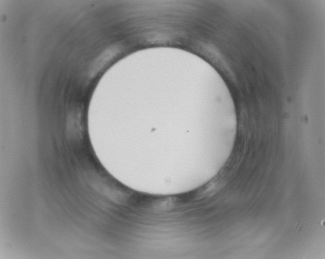 X0000070830116200607142351