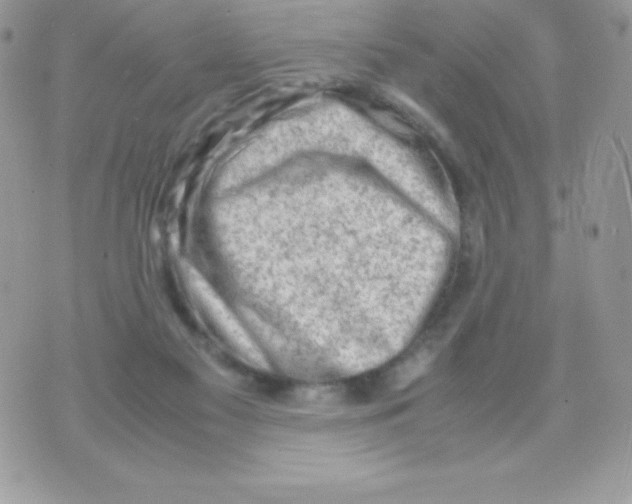 X0000070830117200607142351