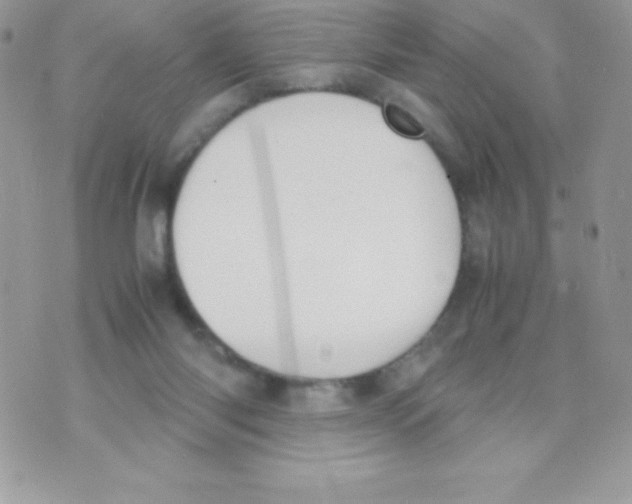 X0000070830118200607142350