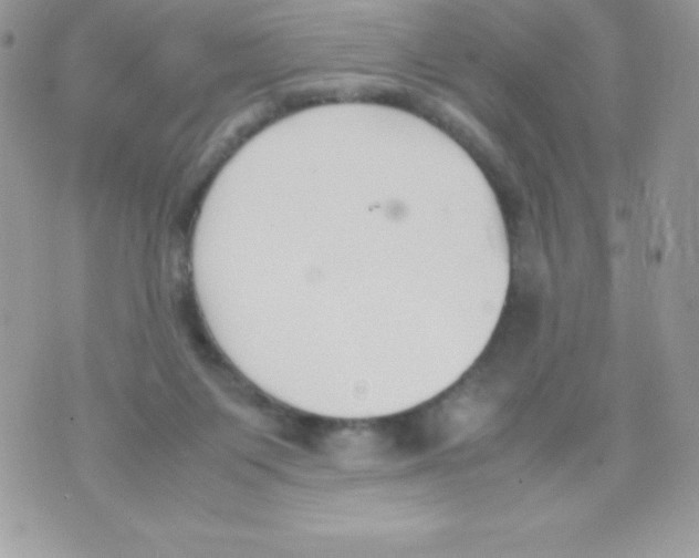 X0000070830119200607142350