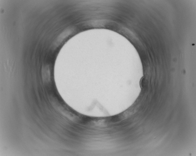 X0000070830120200607142350