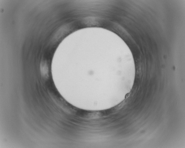 X0000070830124200607142350