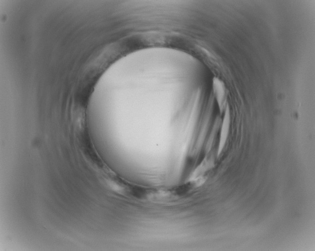 X0000070830125200607142350