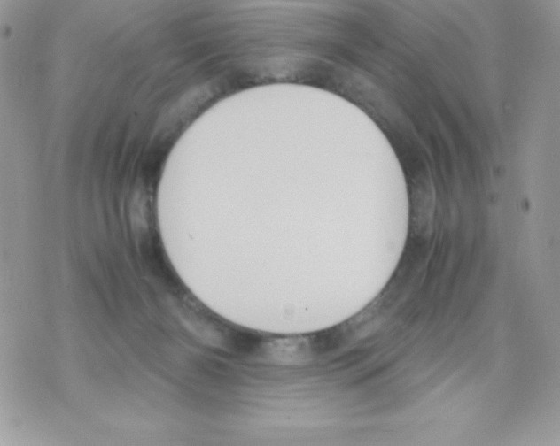 X0000070830126200607142350