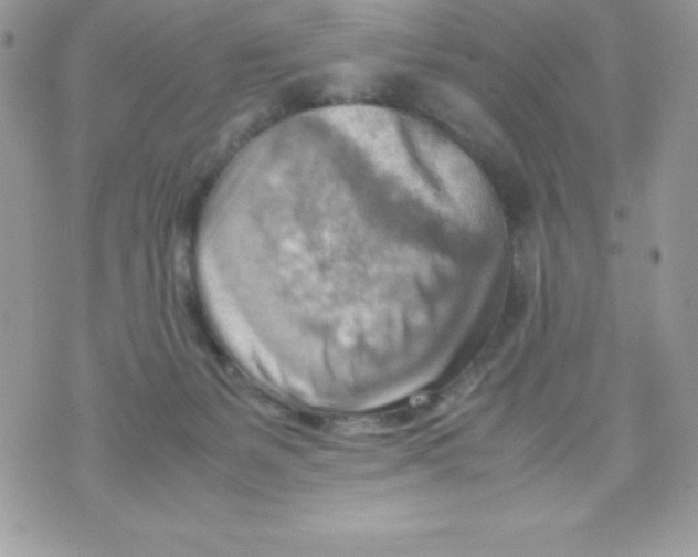 X0000070830127200607142350