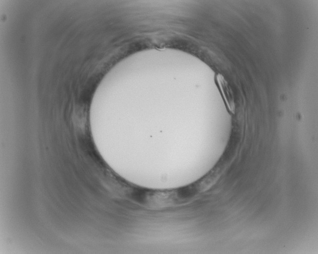 X0000070830129200607142350