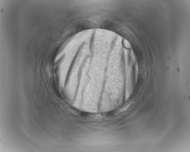 X0000070830131200607142350