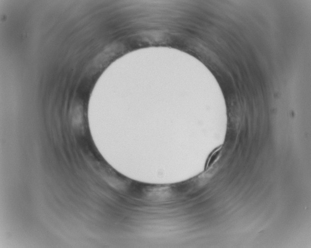 X0000070830132200607142350