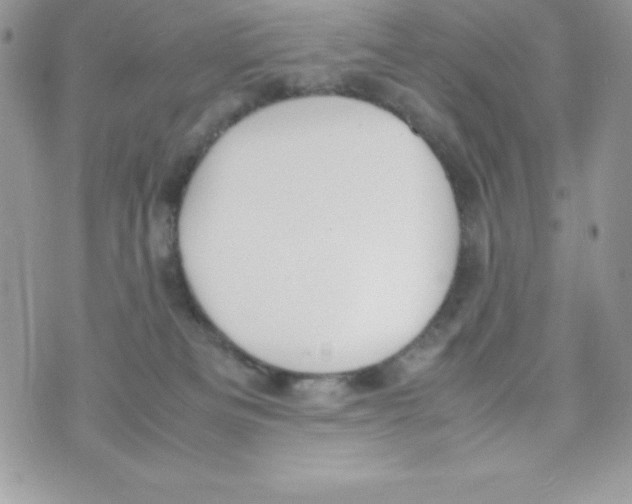 X0000070830133200607142350