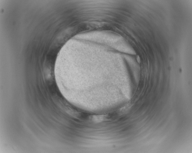 X0000070830134200607142350