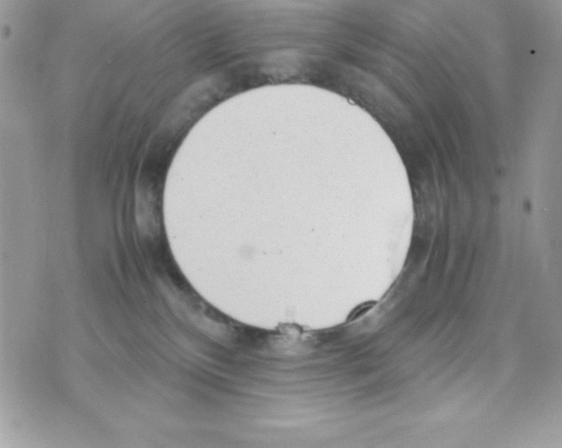 X0000070830136200607142350