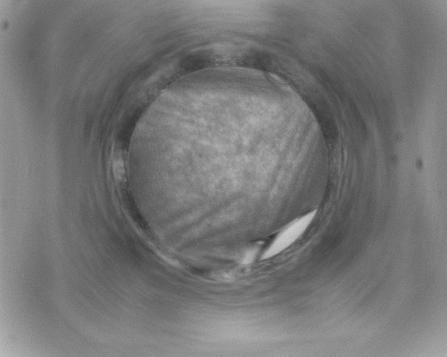 X0000070830137200607142350