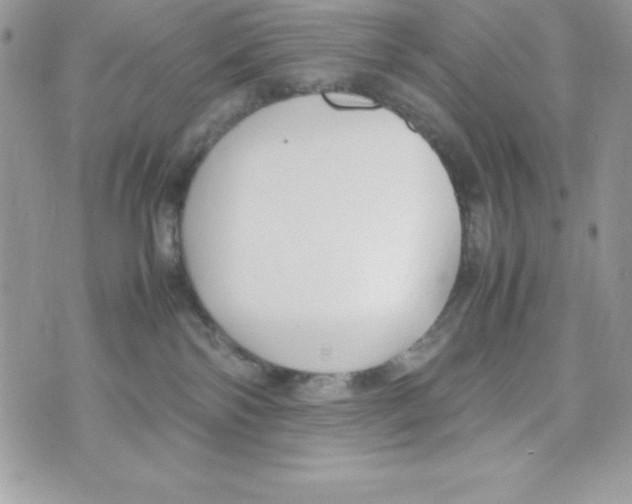 X0000070830138200607142350