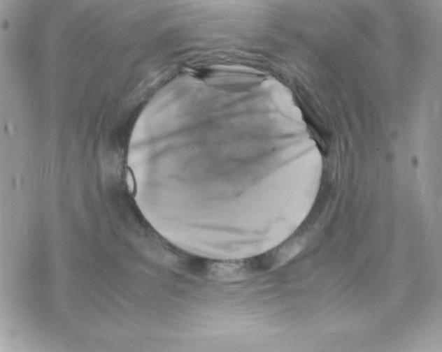 X0000070830139200607142350