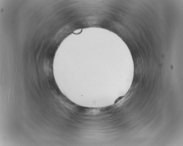 X0000070830140200607142350