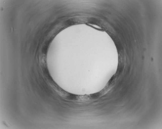 X0000070830141200607142350