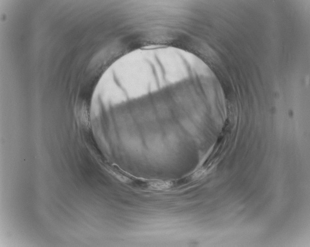 X0000070830143200607142350