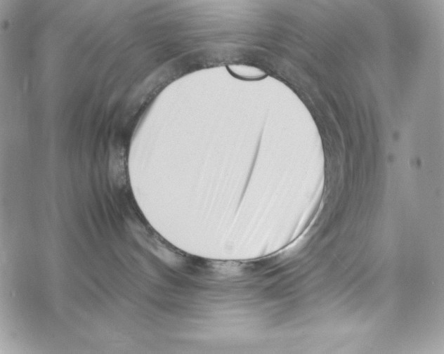 X0000070830144200607142350