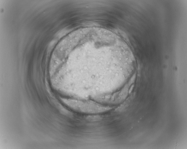 X0000070830145200607142349