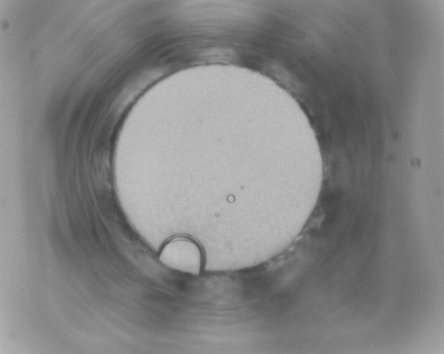 X0000070830146200607142349