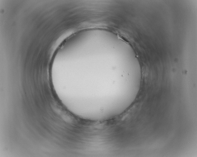 X0000070830148200607142349