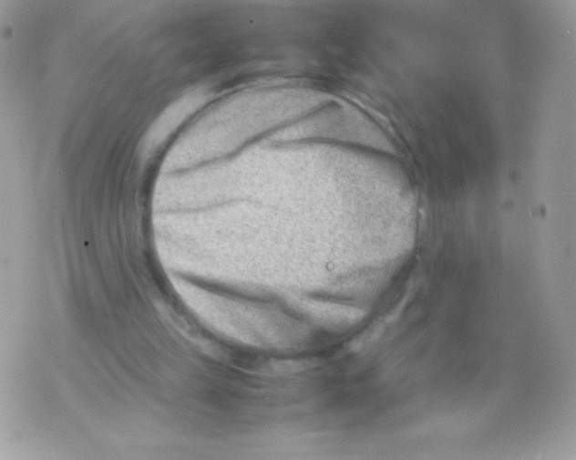 X0000070830149200607142349