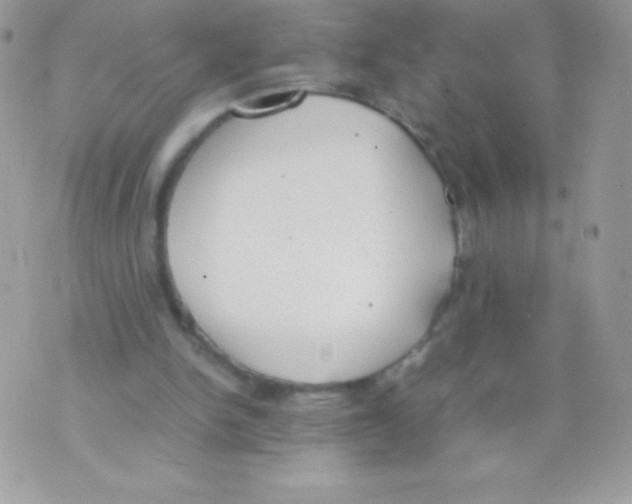 X0000070830150200607142349